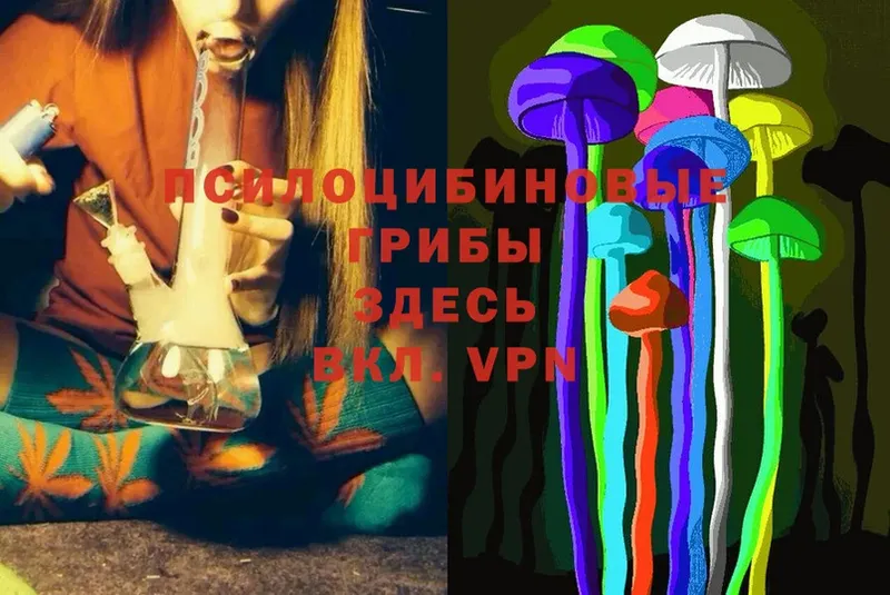 Псилоцибиновые грибы Cubensis  Семилуки 